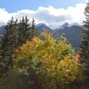 ETOILE DES GLACIERS terrain thumbnail